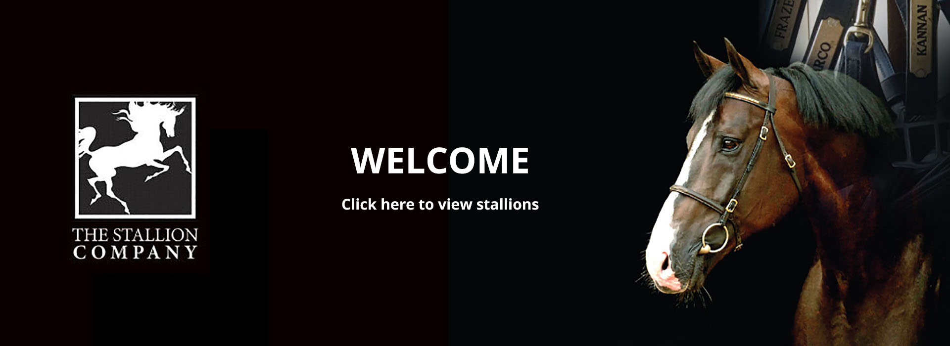 Stallion owners and equine reproduction centre