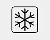 Frozen Embryo